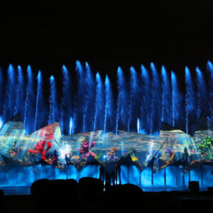 Spectacle aquatique Wings of Time par Crystal