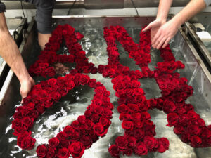Sculptures de glace créées par Crystal