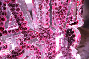 Sculptures de glace créées par Crystal