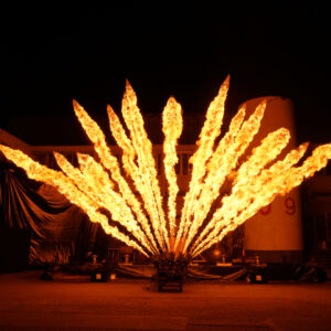 Projecteurs de flammes réalisés par Crystal