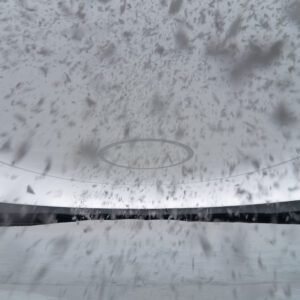 Effets de neige créés par Crystal