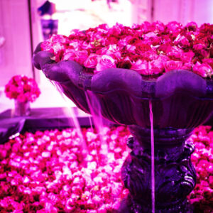 Fontaines ornementales créées par Crystal