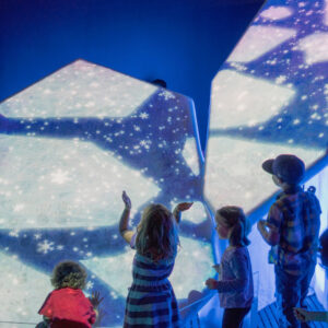 CANADIAN MUSEUM NATURE - Canada Goose Arctic Gallery