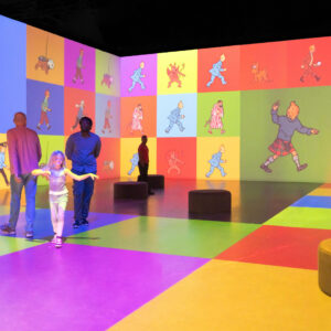 Tintin - Culture Espaces for Tintin-crystal