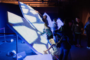 CANADIAN MUSEUM NATURE - Canada Goose Arctic Gallery