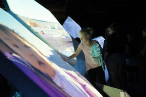 CANADIAN MUSEUM NATURE - Canada Goose Arctic Gallery