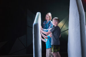 CANADIAN MUSEUM NATURE - Canada Goose Arctic Gallery