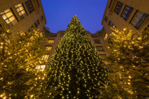 FOUR SEASONS - GEORGE V - Christmas Scenography
