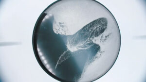 Défilé de mode de Courrèges - Crystal