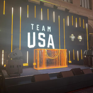 TEAM USA - House Olympics Games - CRYSTAL