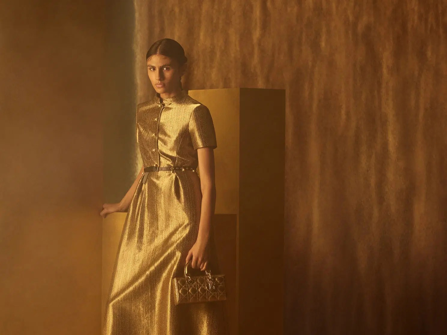 DÉFILÉ DE DIOR - CRYSTAL