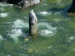 Effet de bouillonnement créé par les équipes de CRYSTAL pour le spectacle Mission Bermudes au Futuroscope, créateurs d'événement.