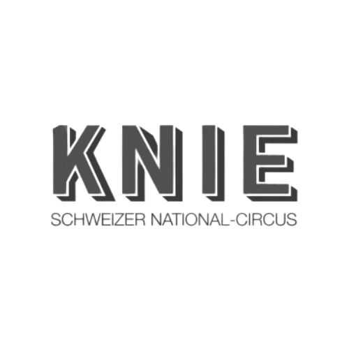 logo knie
